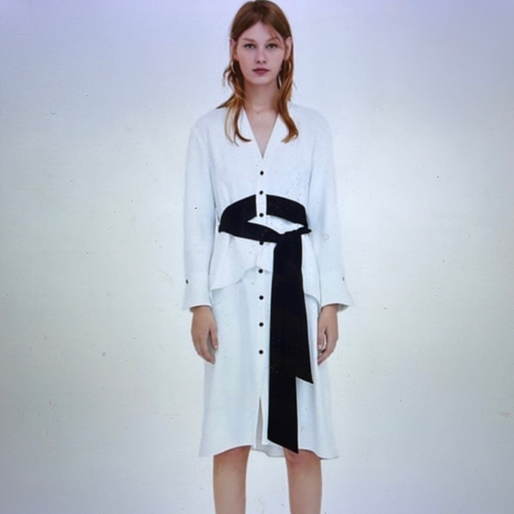 Zara Button Front Contrast Belt Dress